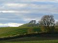 Hill shapes, Beaminster P1150642